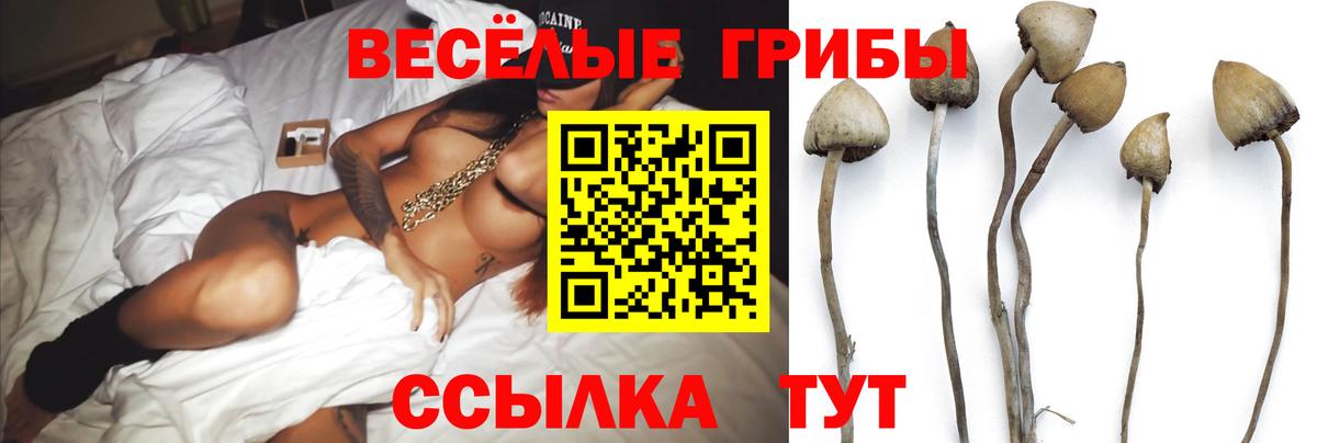 Нижнекамск  как найти закладки  Вход с VPN  Галлюциногенные грибы Magic Shrooms 